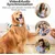 MCBOSON Collier de caméra HD 1080p pour chat et chien