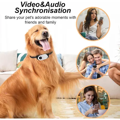 MCBOSON Collier de caméra HD 1080p pour chat et chien