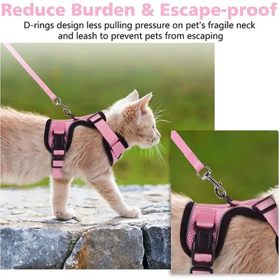 Ensemble harnais et laisse pour chat