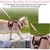 Ensemble harnais et laisse pour chat