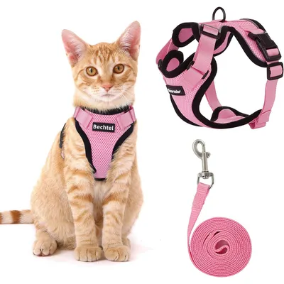 Ensemble harnais et laisse pour chat Ensemble harnais et laisse pour chat