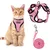 Ensemble harnais et laisse pour chat Ensemble harnais et laisse pour chat