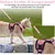 Ensemble harnais et laisse pour chat - XS