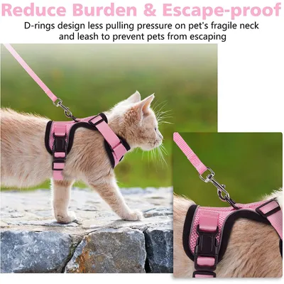 Ensemble harnais et laisse pour chat - XS
