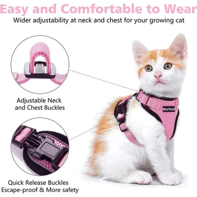 Ensemble harnais et laisse pour chat - XS