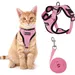 Set aus Katzengeschirr und Leine – XS