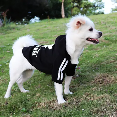 MCBOSON Manteau Polaire Chien, Manteau Hiver Chihuahua