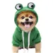 MCBOSON Welpen-Hoodie, Fruchtpullover