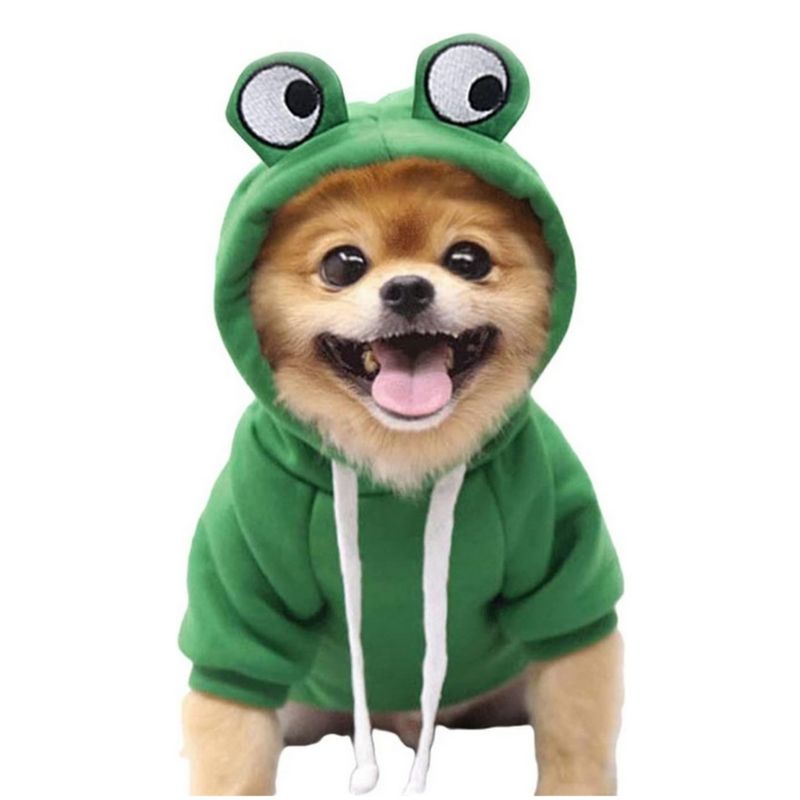 MCBOSON Welpen-Hoodie, Fruchtpullover