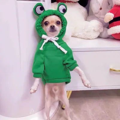 MCBOSON Cachorro encapuchado, tirador de frutas MCBOSON Cachorro encapuchado, tirador de frutas