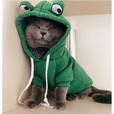 MCBOSON Welpen-Hoodie, Fruchtpullover