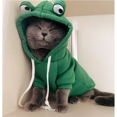 MCBOSON Welpen-Hoodie, Fruchtpullover