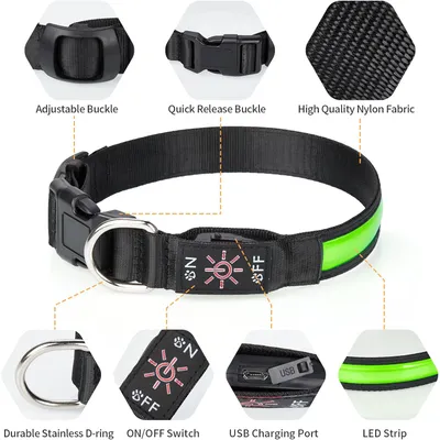 MCBOSON Collier LED Rechargeable Chien, Collier Lumineux