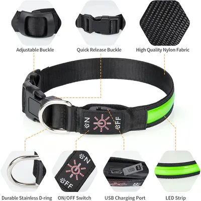MCBOSON Collar LED recargable para perros, collar luminoso