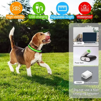 MCBOSON Wiederaufladbares LED-Hundehalsband, Leuchthalsband