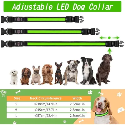 MCBOSON Wiederaufladbares LED-Hundehalsband, Leuchthalsband