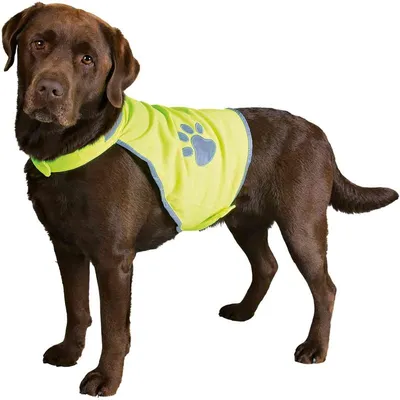 MCBOSON Sicherheitsweste für Hunde, Größe M/50–68 cm