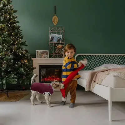 MCBOSON Suéteres de invierno para perros, ropa de punto MCBOSON Suéteres de invierno para perros, ropa de punto