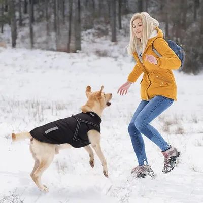 MCBOSON Wintermantel mit integriertem Geschirr, reflektierende Hundejacke