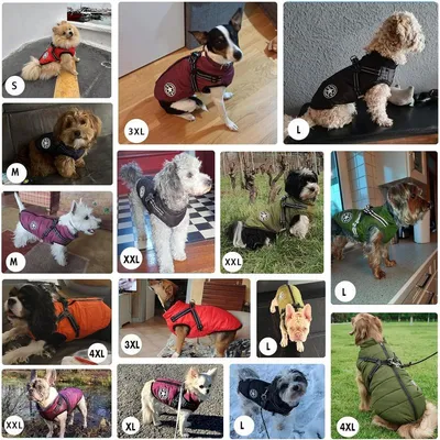 2-in-1 wasserdichter Wintermantel für Hunde mit Geschirr 2-in-1 wasserdichter Wintermantel für Hunde mit Geschirr