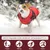 2-in-1 wasserdichter Wintermantel für Hunde mit Geschirr 2-in-1 wasserdichter Wintermantel für Hunde mit Geschirr