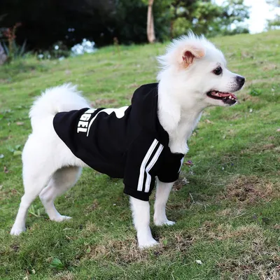 MCBOSON Hundemantel mit Kapuze für Chihuahuas, kleine Hunde MCBOSON Hundemantel mit Kapuze für Chihuahuas, kleine Hunde