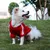 MCBOSON Abrigo para perro con capucha, suéter para chihuahua, perro pequeño MCBOSON Abrigo para perro con capucha, suéter para chihuahua, perro pequeño