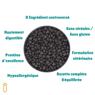 Pongo - Croquettes aux Insectes Sans Céréales pour Chien