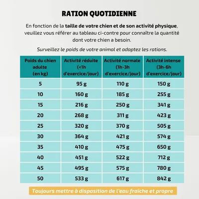 Pongo - Croquettes aux Insectes Sans Céréales pour Chien