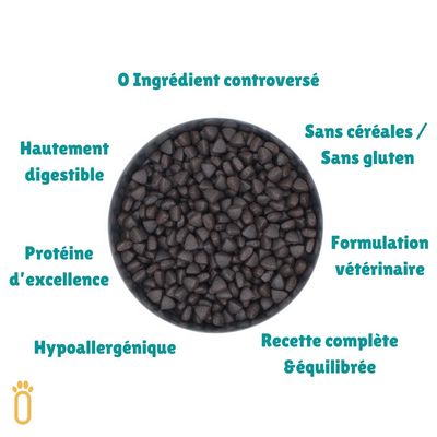 Pongo - Croquettes aux Insectes Sans Céréales pour Chien