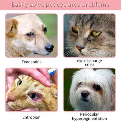 MCBOSON Baume de Soin des Yeux pour Animaux de Compagnie