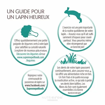 Science SELECTIVE - Aliment complet Lapin (sac) Science SELECTIVE - Aliment complet Lapin (sac)