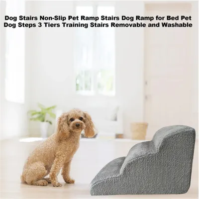 MCBOSON Marches antidérapantes en peluche pour chien