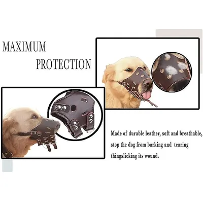 MCBOSON Muselière réglable en cuir souple marron pour chien
