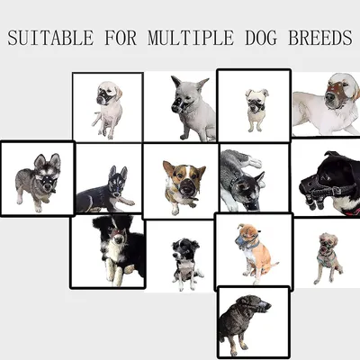 MCBOSON Muselière réglable en cuir souple marron pour chien