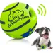 MCBOSON Quietschball aus TPR für Hunde