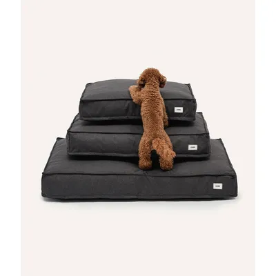 CAFIDE Matelas basic, CUADRA CAFIDE Matelas basic, CUADRA