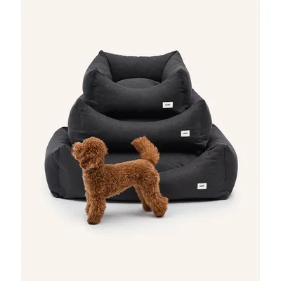 CAFIDE Panier basic, SNOZY