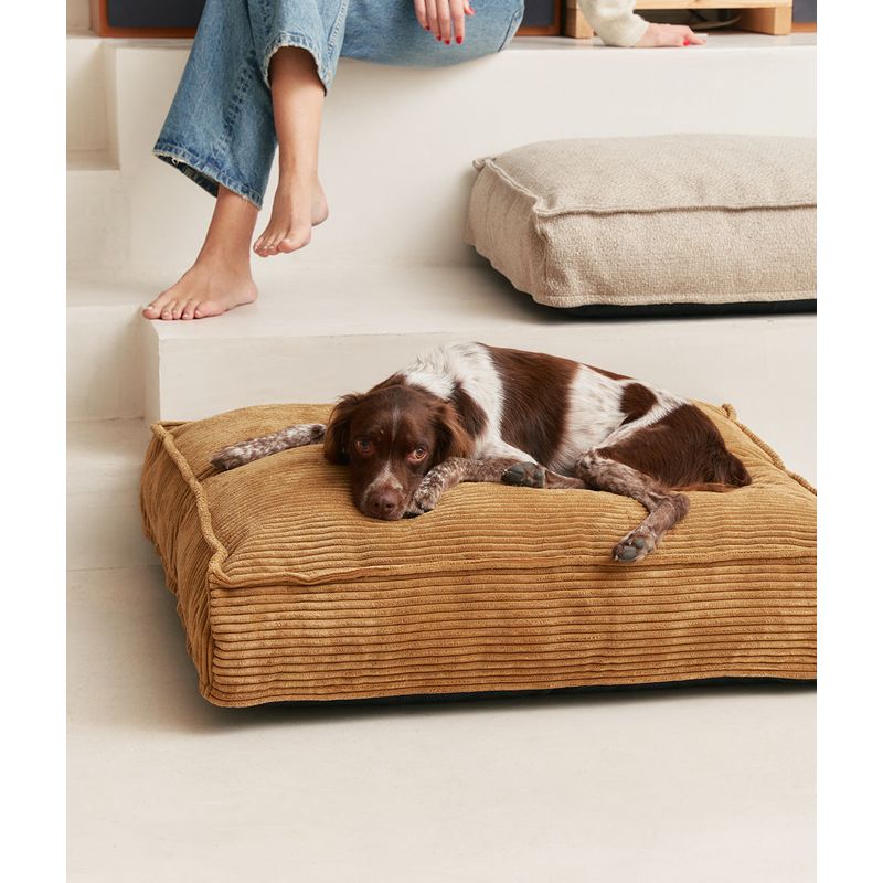 CAFIDE Matelas en velours côtelé, CUADRA