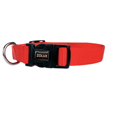 Collier nylon 30-40 cm x 15 mm  pour chien