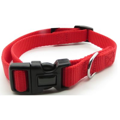 Collier nylon 30-40 cm x 15 mm  pour chien