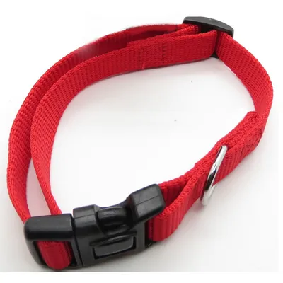 zolux - Collier nylon 30-40 cm x 15 mm  pour chien