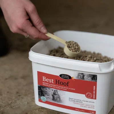 HORSE MASTER - Best Hoof - Complément Biotine Sabots Cheval HORSE MASTER - Best Hoof - Complément Biotine Sabots Cheval
