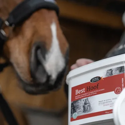 HORSE MASTER - Best Hoof - Complément Biotine Sabots Cheval HORSE MASTER - Best Hoof - Complément Biotine Sabots Cheval