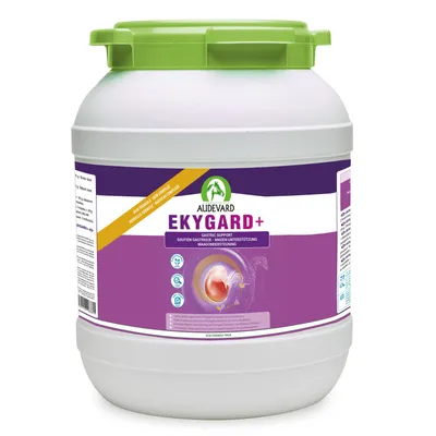 Audevard Complemento para caballos EKYGARD