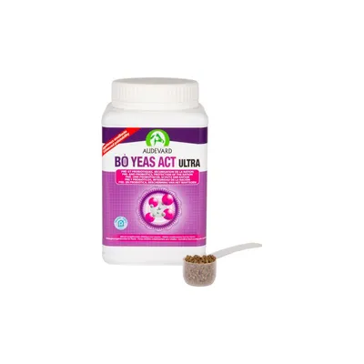 AUDEVARD - BO YEA SACC ULTRA