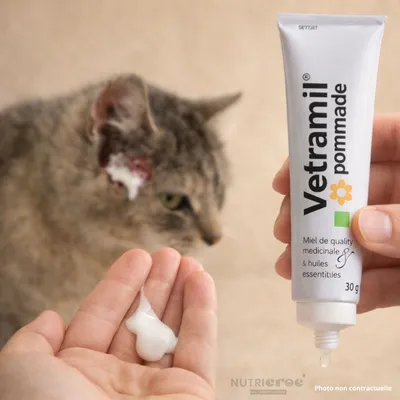 ANIDEV - Vetramil pommade chien chat – Soin cicatrisant au miel