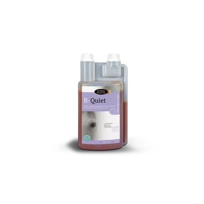 FARNAM - B QUIET - FARNAM
