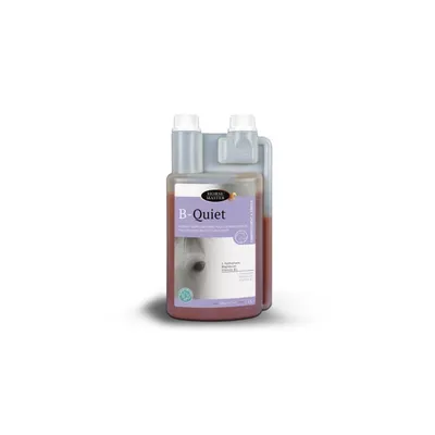 FARNAM - B QUIET - FARNAM FARNAM - B QUIET - FARNAM