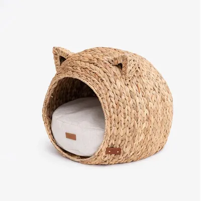 Pet and Co Chat Lit Simba